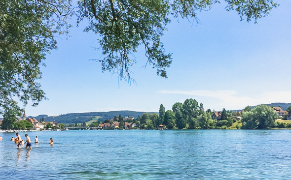 Abkühlung im Rhein