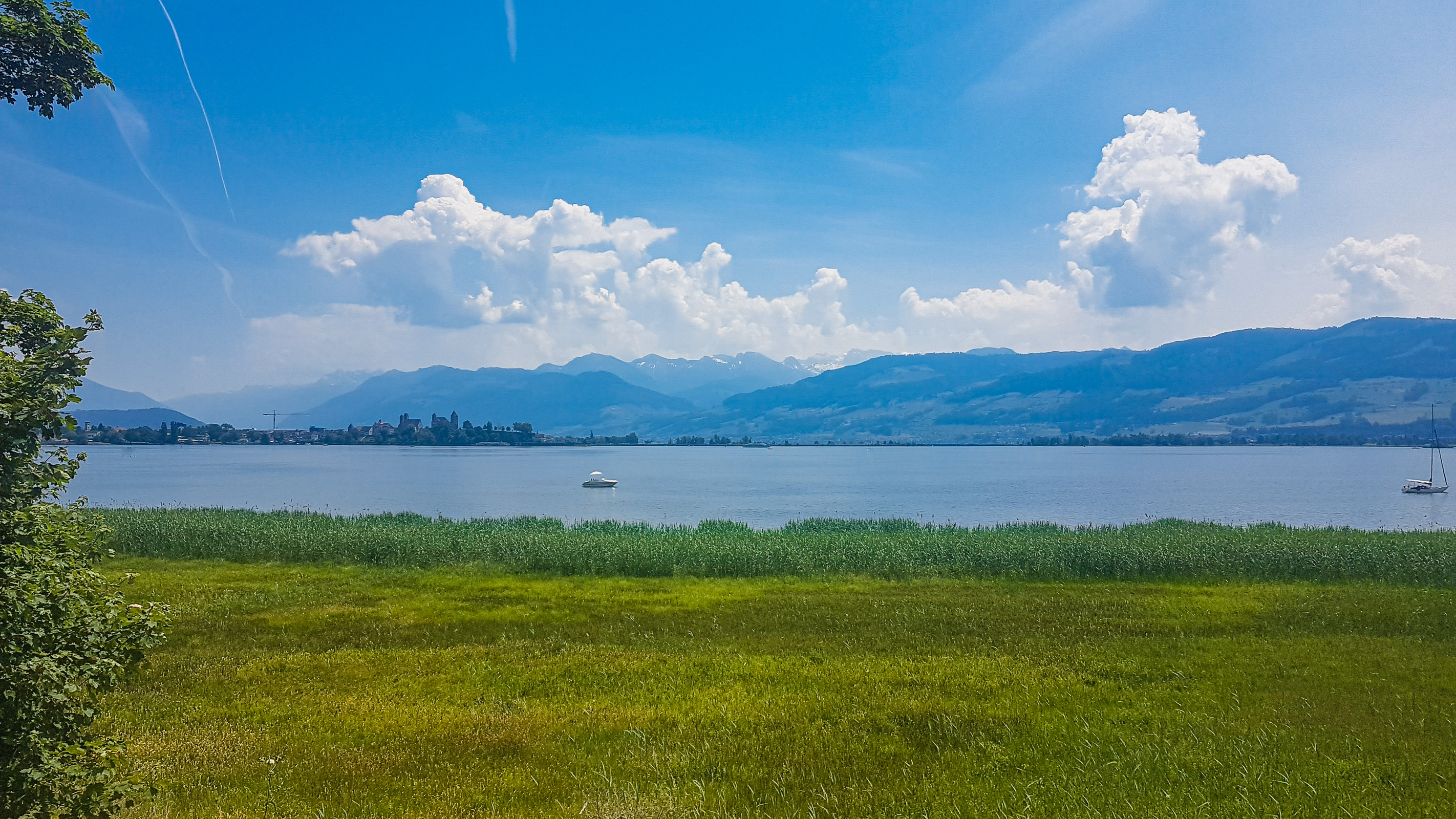 Zürichsee