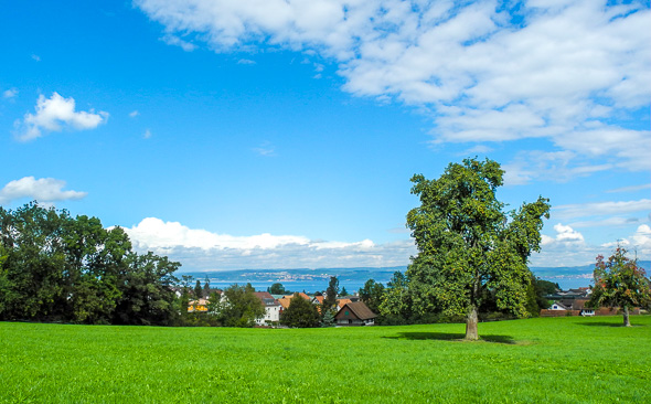 Blick auf den Bodensee