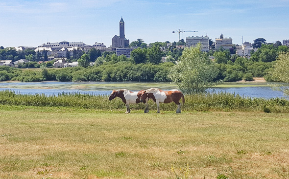 Blois wird erreicht