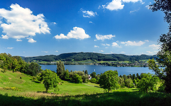 Blick auf den Untersee, Höri