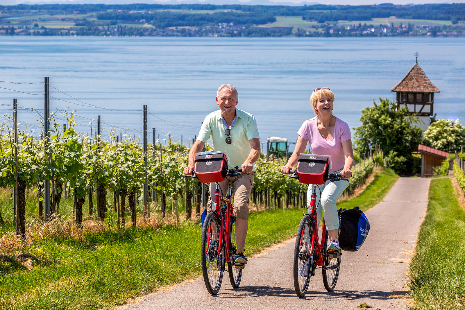 fahrrad pedale schmieren PROVO Fahrrad, SPD Pedal mit Riemen und Clip Pedal für Heimtrainer/Dynamometer, Spinning Bike, Indoor-Fahrrad und alle 9/16