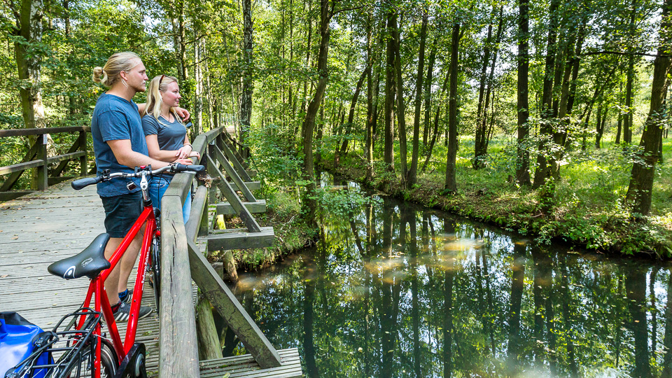 Der Gurken-Radweg im Spreewald