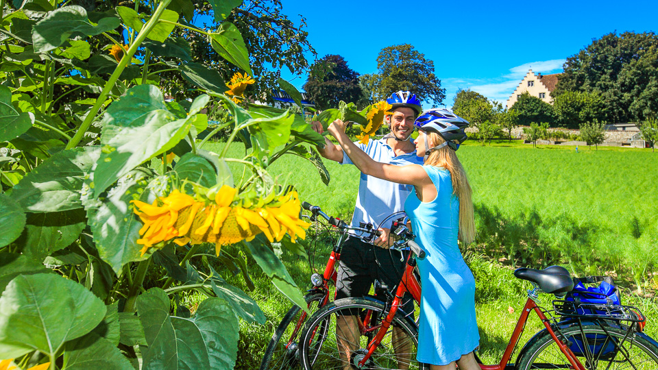 Die sportliche Neckar Radtour