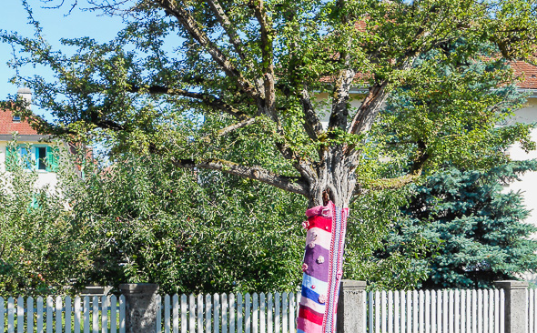 Umstrickter Baum