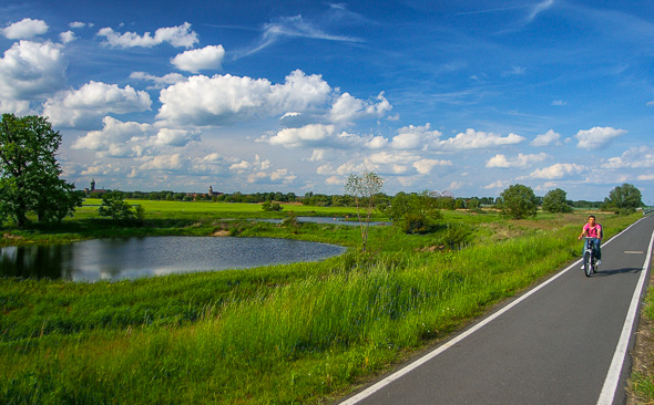 Elbe-Radweg, Radfahrer bei Coswig