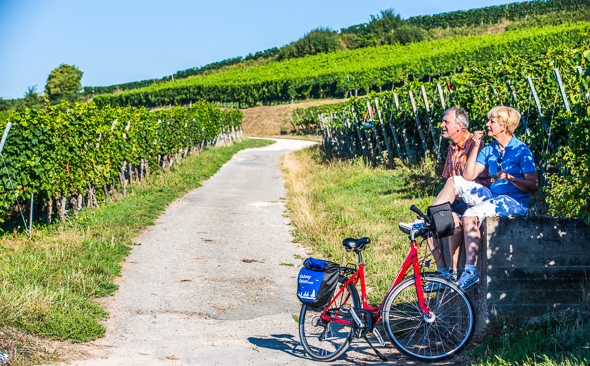 In den Weinbergen im Markgräflerland