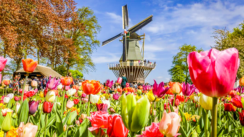 Mit Rad und Schiff zur Tulpenblüte