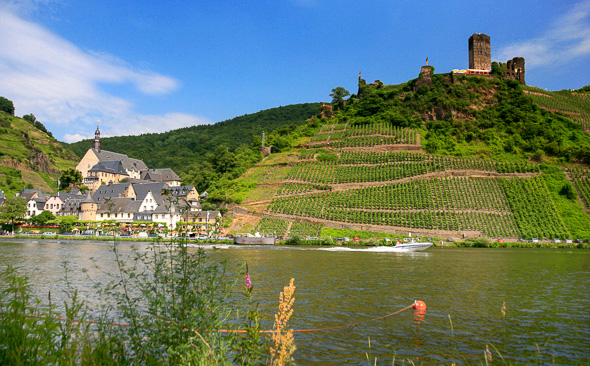 Weinhänge, Mosel-Radweg
