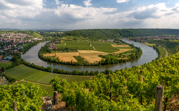 Der Neckar bei Mundelsheim