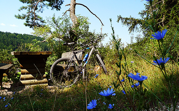 Radpause im Naturpark Altmühltal