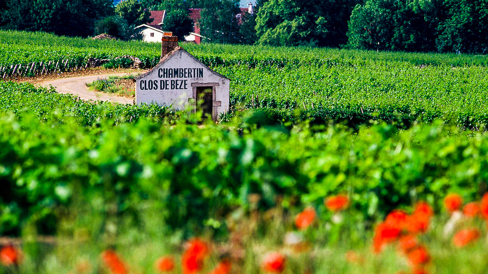 Radtour durch das Burgund