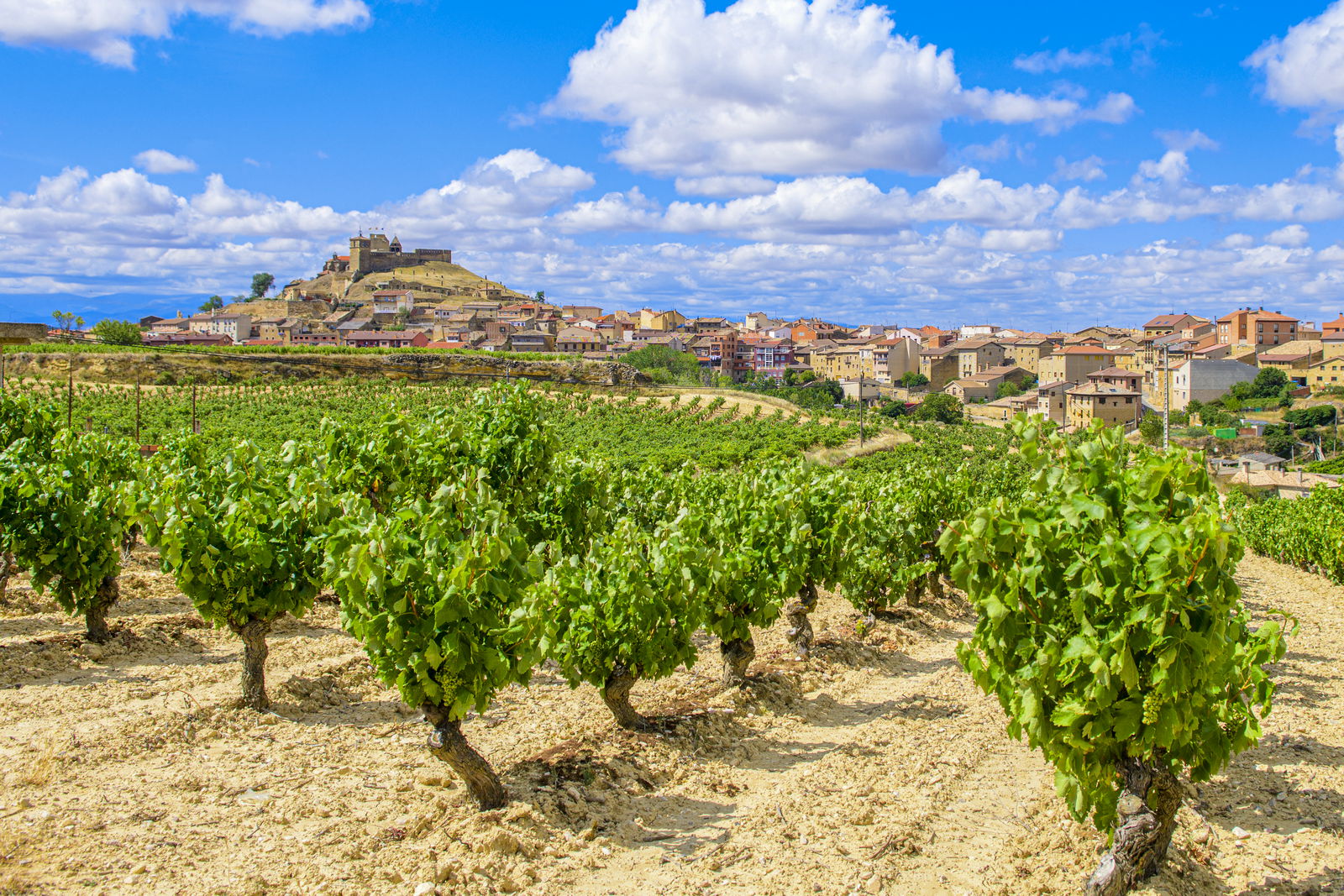 Radtour durch La Rioja