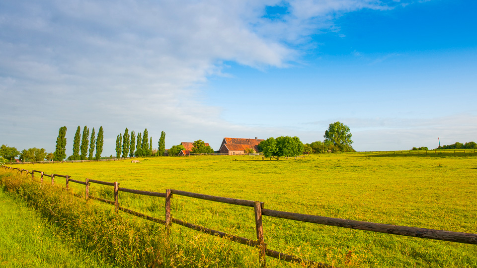Radtour im Münsterland