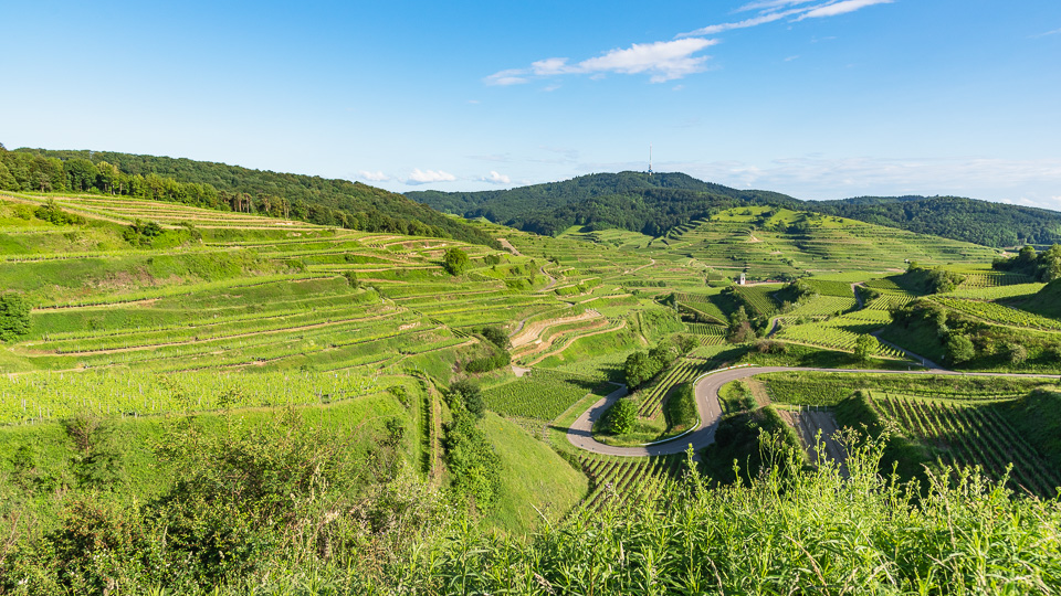 Radtour um den Kaiserstuhl