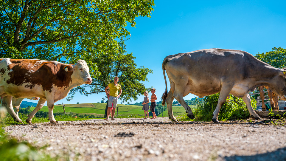 Radurlaub auf dem Bauernhof in Österreich
