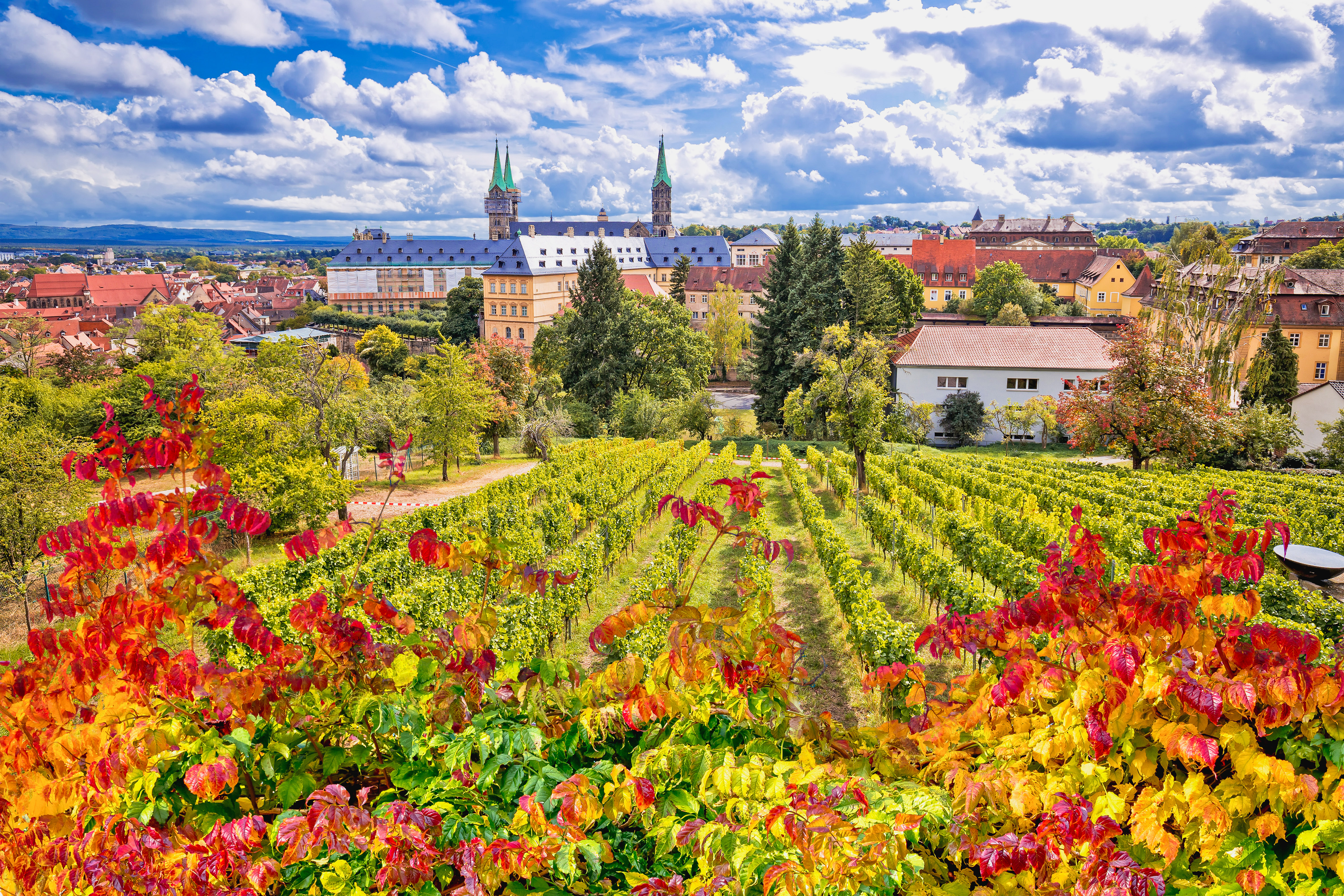 Bamberg, Weinberg, Stadt von oben