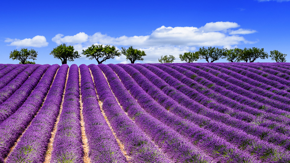 Radurlaub in Provence und Camargue