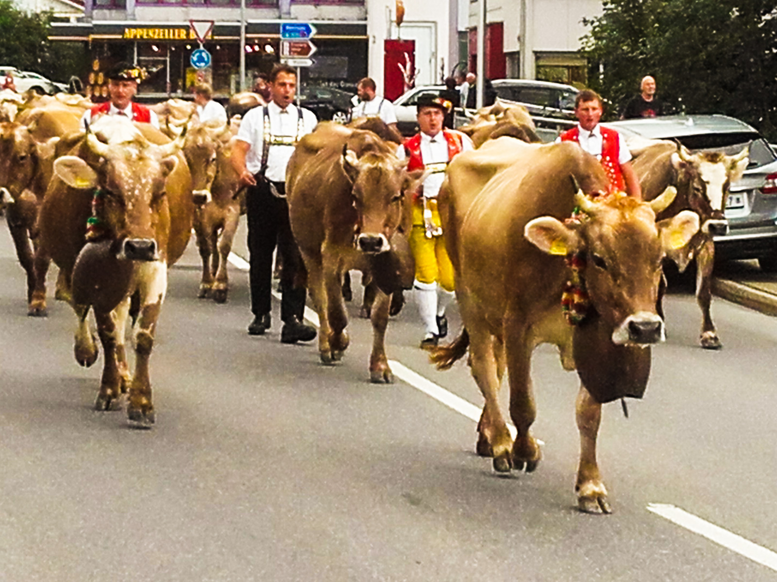 reisebericht_bo_b11_09