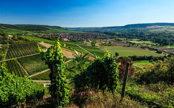 Retzbach, Main-Radweg