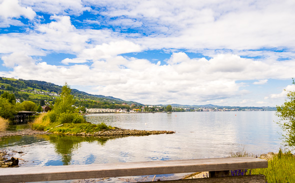Das Naturschutzgebiet der Rheinmündung in den Bodensee
