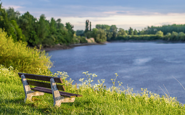 Schelde, Dendermonde