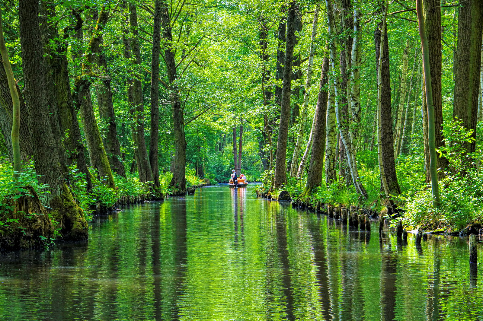 Die kurze Spreewald-Radtour | Radweg-Reisen