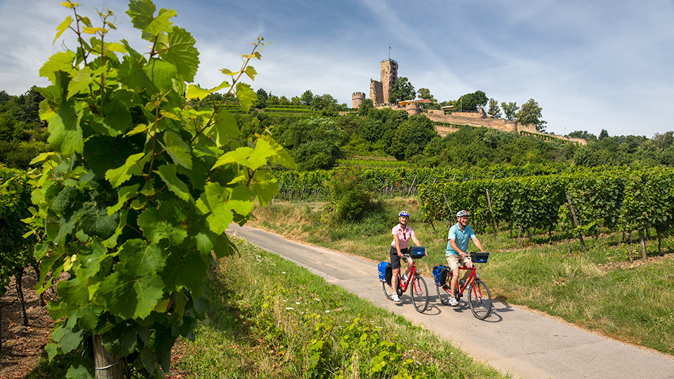 Radtour in der Pfalz