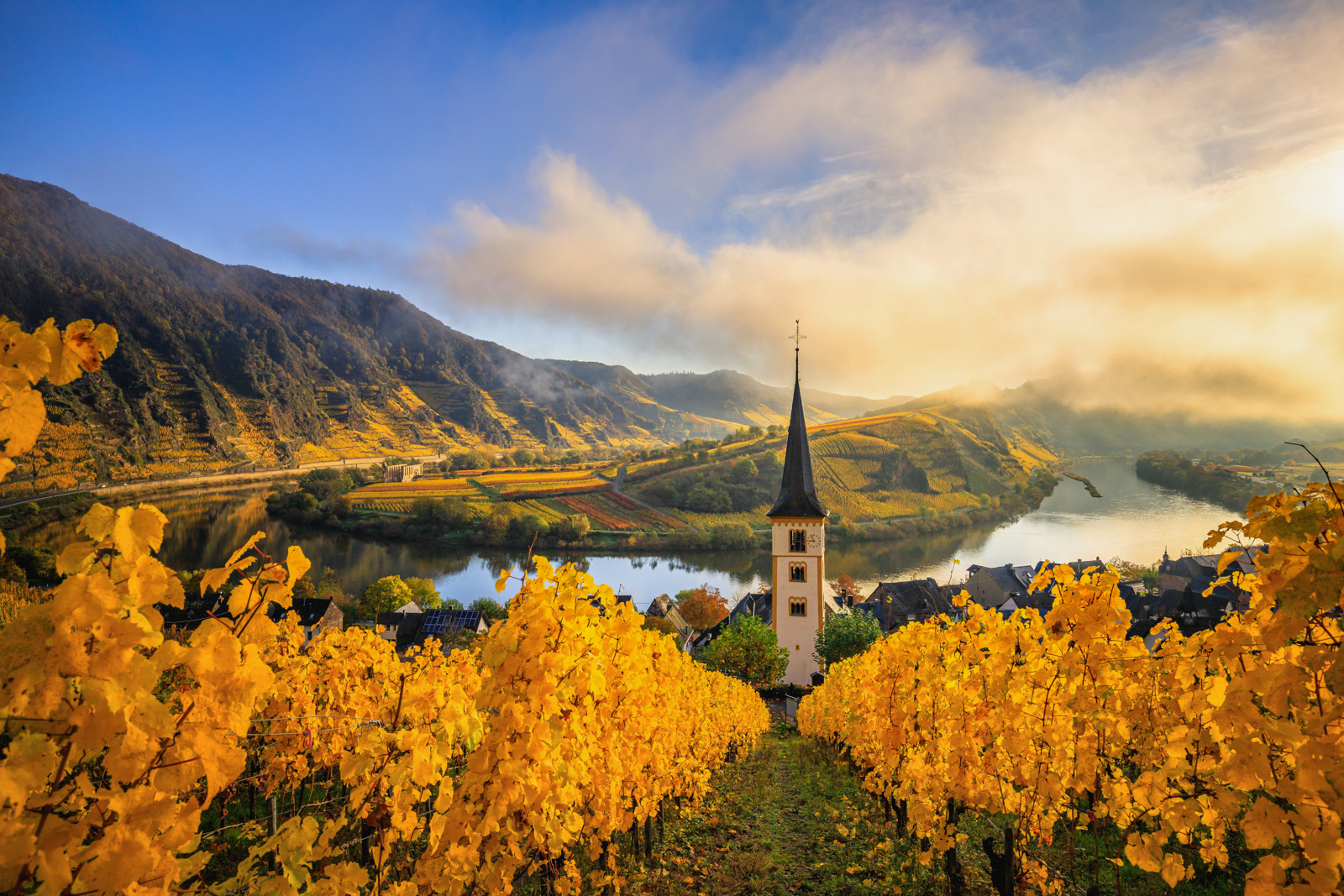 Mosel, Weinberg, Herbst