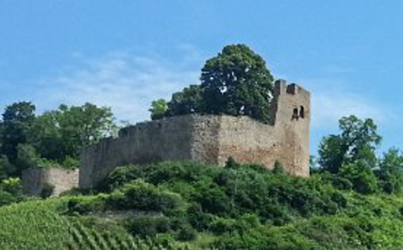 Ettenheim nach Freiburg
