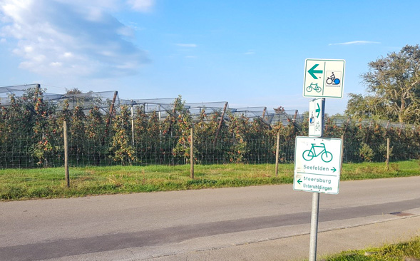 Die Apfelplantagen