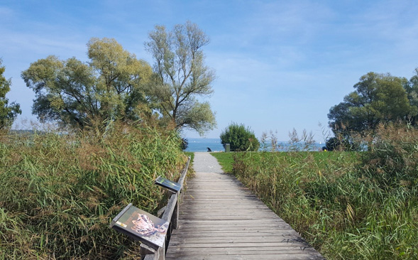 Im Seeburgpark