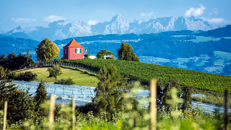 Vom Bodensee zur Donau und ins Allgäu mit dem Rad