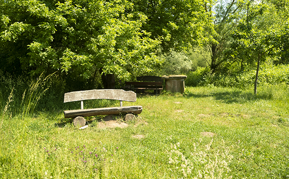 Bank am Wegesrand