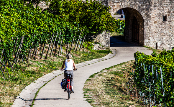 Würzburg, Main-Radweg