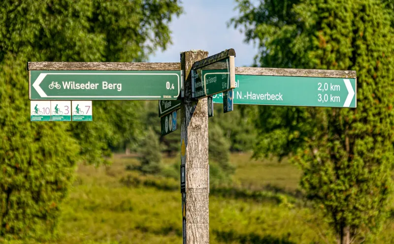 Wilseder Berg