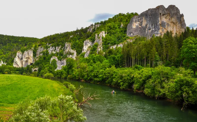 Junge Donau