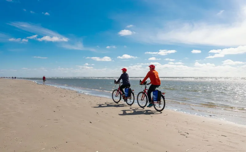 Radler am Biilstrand auf der Insel Rømø