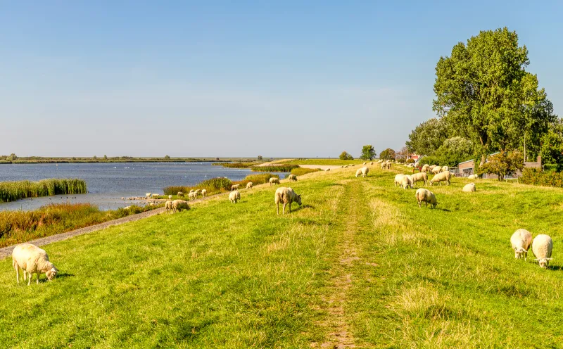 IJsselmeer, Friesland