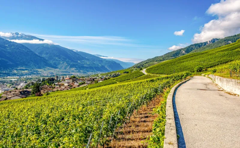 Weinhänge bei Sierre