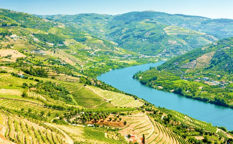 Weinberge im Dourotal