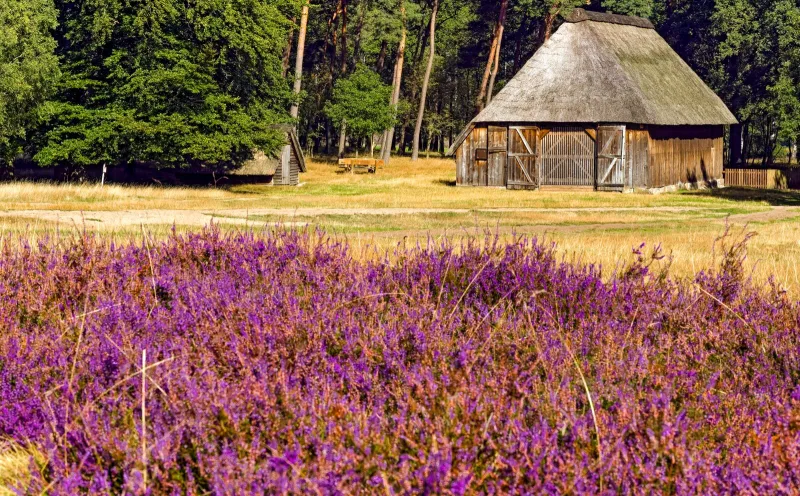 Schafstall Lüneburger Heide