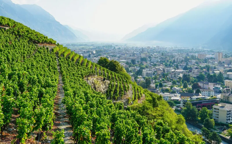 Blick auf Martigny