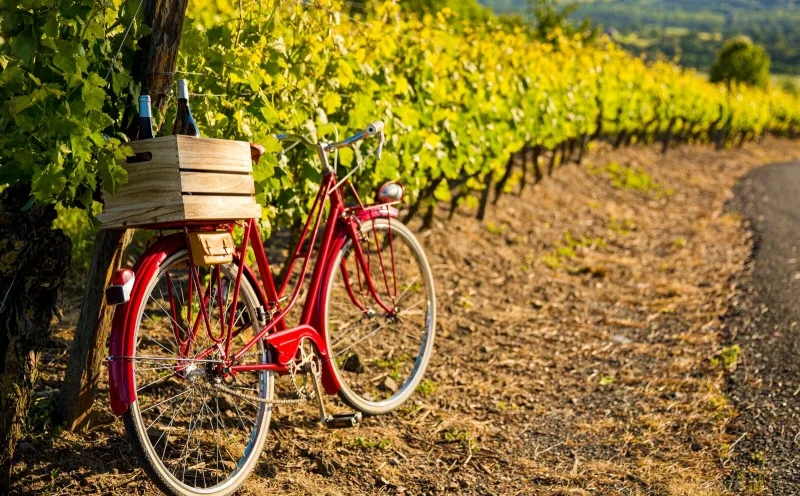 Radfahren im Elsass