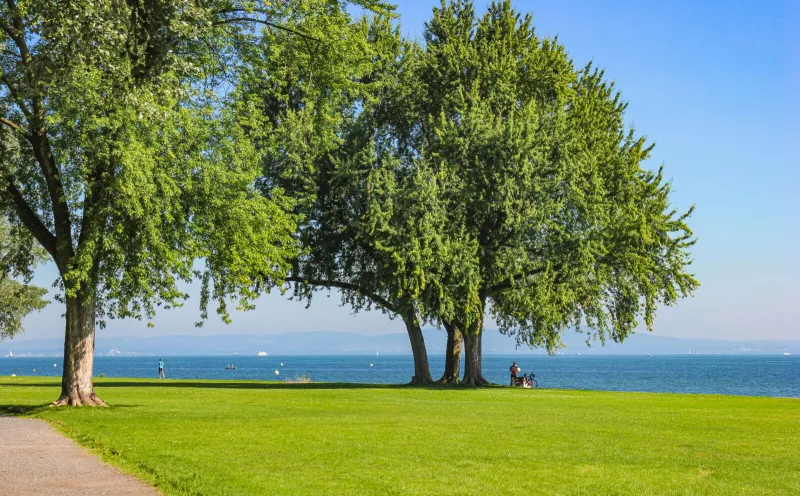 Arbon, Schweiz, Bodensee