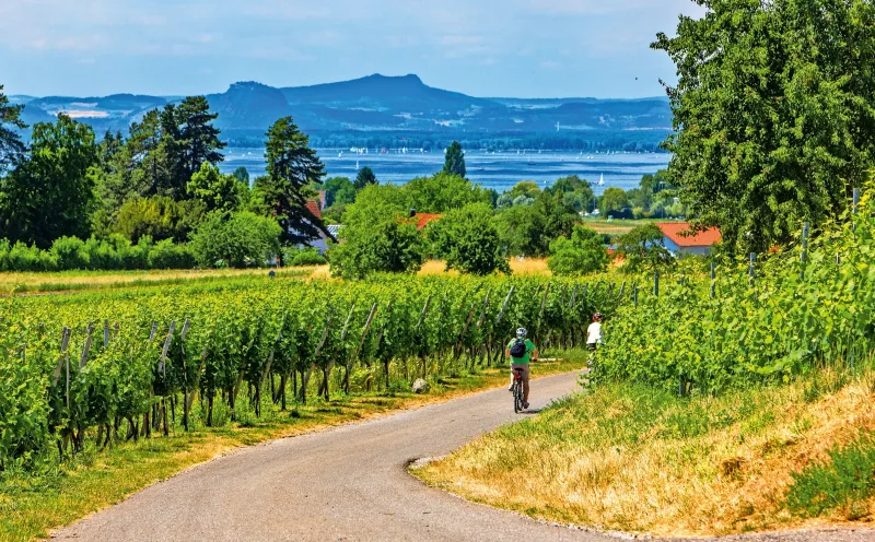 Reichenau