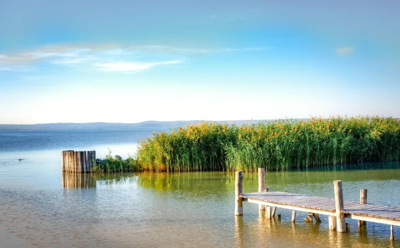 Steg am Neusiedlersee
