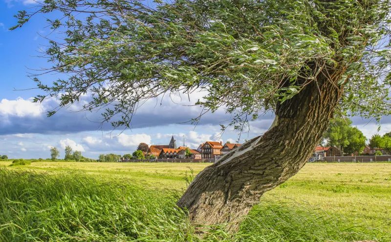 Blick nach Hitzacker
