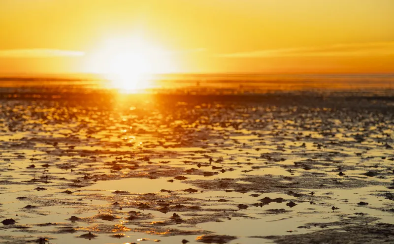 Abschied vom Wattenmeer