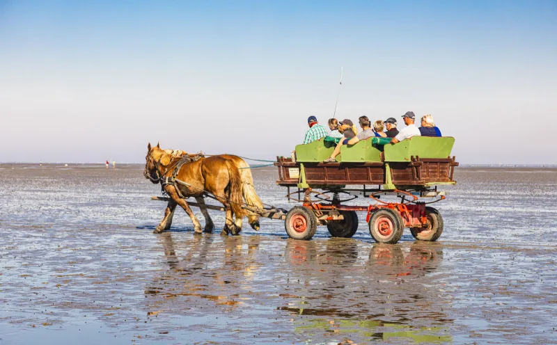 Wattwagen zur Insel Neuwerk